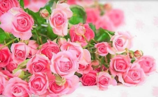 Bộ trưởng Nguyễn Hồng Diên gửi thư chúc mừng nhân Ngày Pháp luật Việt Nam năm 2021