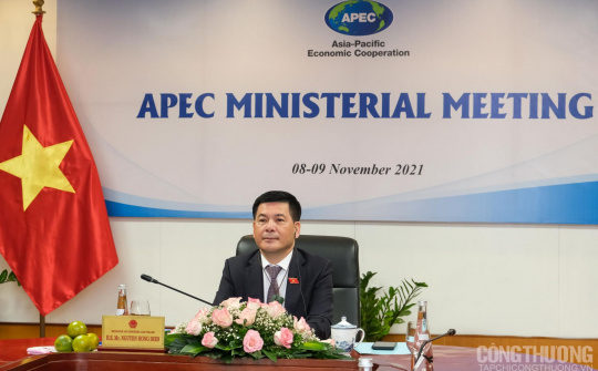 Hội nghị liên Bộ trưởng Ngoại giao - Kinh tế APEC: Việt Nam nhấn mạnh 3 ưu tiên trong quá trình tái thiết và phục hồi kinh tế