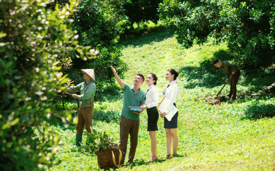 Cho vay nông nghiệp, nông thôn tiếp tục là định hướng của LienVietPostBank