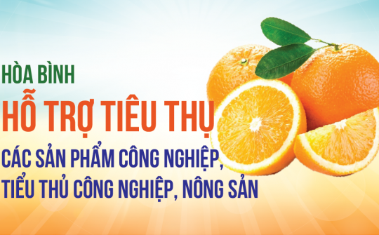 [eMagazine] Hòa Bình hỗ trợ tiêu thụ các sản phẩm công nghiệp, tiểu thủ công nghiệp, nông sản