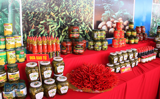 Bắc Giang: Công nhận 39 sản phẩm tham gia Chương trình OCOP đợt 2 năm 2021