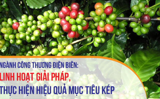 Điện Biên: Linh hoạt giải pháp, thực hiện hiệu quả mục tiêu kép