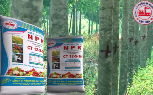 Phân bón Văn Điển: Nâng giá trị cây trồng chủ lực tại Tây Nguyên