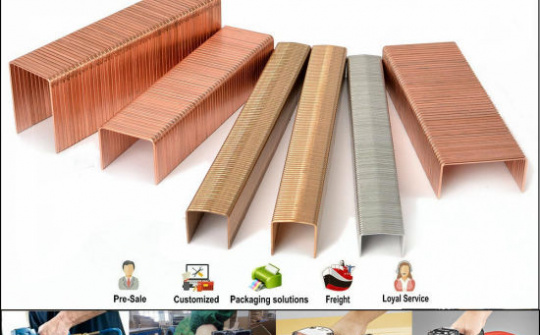 Cảnh báo khả năng bị điều tra áp dụng biện pháp PVTM ghim đóng thùng sang Hoa Kỳ