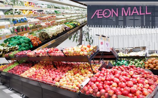 Việt Nam là thị trường quan trọng của các tập đoàn bán lẻ Nhật Bản