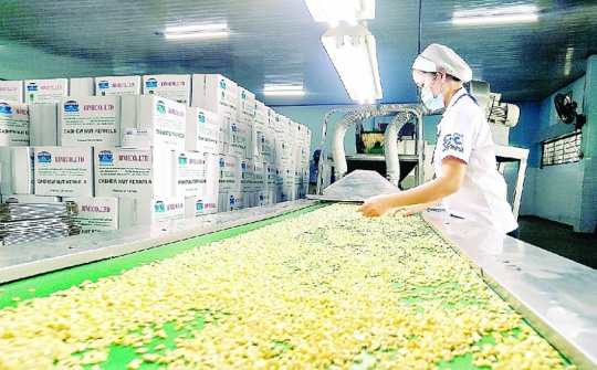 11 tháng, xuất khẩu hạt điều đạt trị giá 3,34 tỷ USD