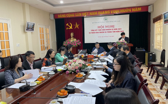 6,7 triệu ha rừng được hưởng tiền dịch vụ môi trường rừng