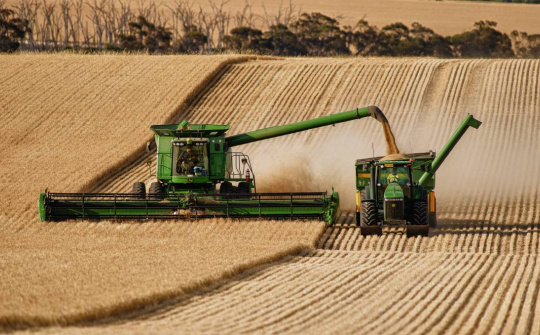 Giới đầu tư thận trọng khi USDA sắp công bố báo cáo cung - cầu nông sản thế giới tháng 12/2021