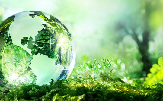 Bình luận một số quy định về quyền tiếp cận thông tin môi trường của người dân