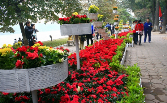 Thời tiết 19-2: Hà Nội sáng sớm nhiều mây, trưa chiều hửng nắng ấm