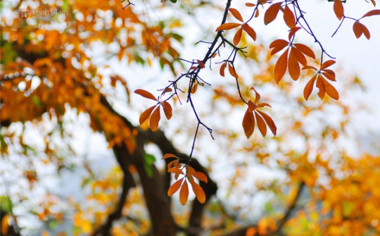 Thời tiết ngày 20-2: Ngày hửng nắng, đêm và sáng trời rét