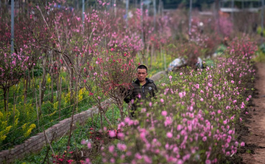 Thời tiết 3-2: Bắc bộ tiếp tục hình thái thời tiết rét ẩm, sáng sớm có sương mù