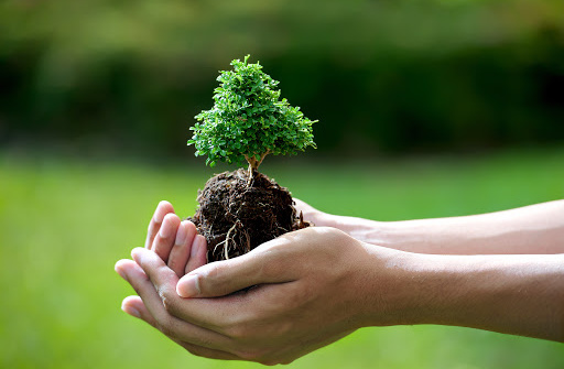 Xử lý vi phạm hành chính về bảo vệ môi trường trong khu kinh tế theo pháp luật Việt Nam