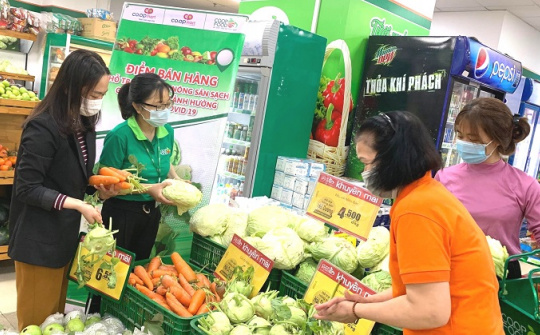 Đẩy mạnh liên kết chuỗi nhằm kết nối cung cầu