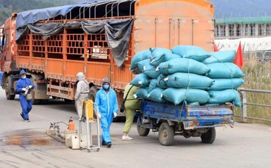 Ban hành quy chế phòng, chống dịch trong hoạt động vận tải để  không “ngăn sông, cấm chợ”