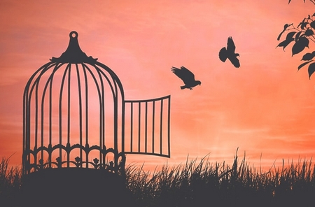 Vai trò, quyền hạn của Chủ tịch nước trong đặc xá