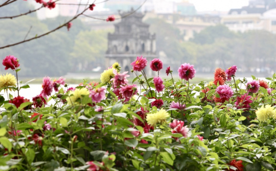[Ảnh] Hồ Gươm lung linh muôn sắc hoa chào đón Tết Nguyên đán Tân Sửu 2021