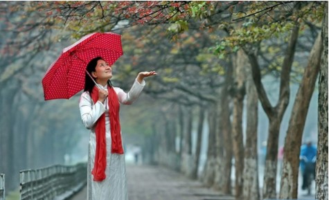 Thời tiết 8-2: Ngày 27 Tết, Miền Bắc đón không khí lạnh tăng cường, dự báo có mưa diện rộng