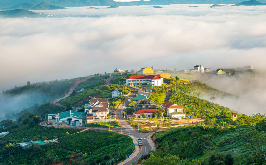 Đà Lạt có chi mà anh năng đi vậy?