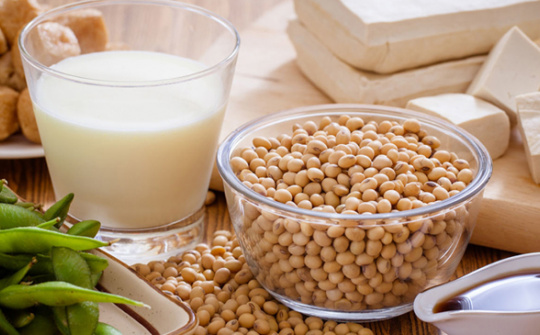 Nghiên cứu các yếu tố ảnh hưởng đến tỷ lệ nảy mầm của hạt đậu nành và tối ưu hóa điều kiện sấy đậu nành nảy mầm