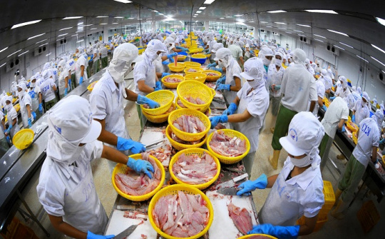 Xuất khẩu thủy sản sang các nước CPTPP tăng mạnh