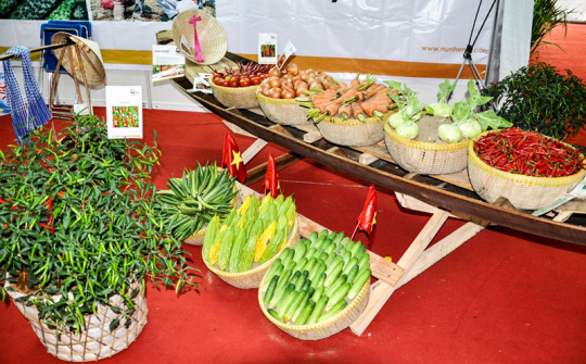 Các mô hình tối ưu hóa chuỗi cung ứng thực phẩm dễ hỏng, bằng chứng từ các nghiên cứu thực nghiệm