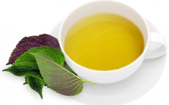 Nghiên cứu yếu tố ảnh hưởng đến quá trình sản xuất trà thảo mộc tía tô - cỏ ngọt