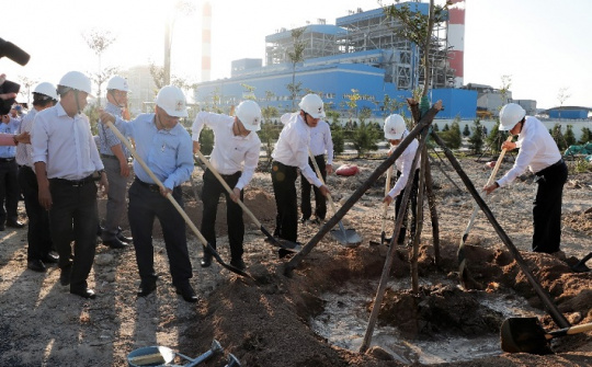 Nhiệt điện Vĩnh Tân: Hưởng ứng phong trào “Tết trồng cây”