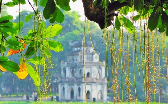 Thời tiết 15-3: Hà Nội trưa, chiều hửng nắng, nền nhiệt tăng nhẹ