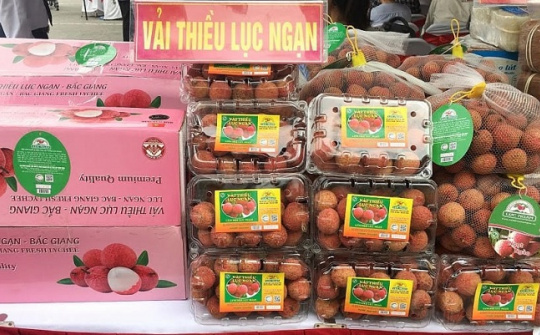 Nhật Bản cấp Bằng bảo hộ chỉ dẫn địa lý cho Vải thiều Lục Ngạn