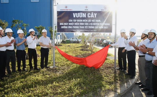 Nhà máy Nhiệt điện Vĩnh Tân 4: Hưởng ứng phong trào Tết trông cây năm 2021