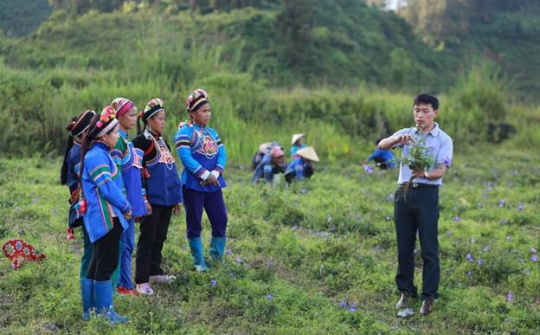 Đưa dược liệu vào nhóm xuất khẩu "tỷ đô": Còn rất nhiều việc phải làm