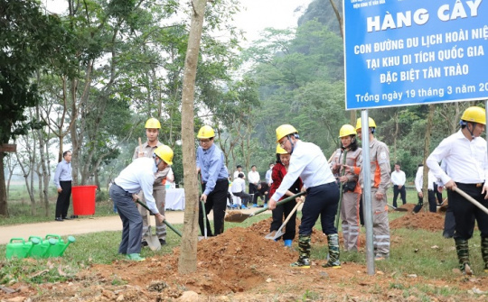 EVNNPC hưởng ứng Lễ trồng cây tại các di tích lịch sử quốc gia