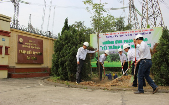 PTC2 hưởng ứng phong trào “Tết trồng cây” năm 2021