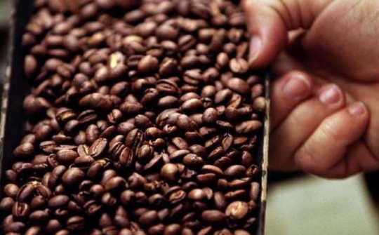 Chỉ số giá cà phê toàn cầu tháng 2/2021 tăng tháng thứ 4 liên tiếp