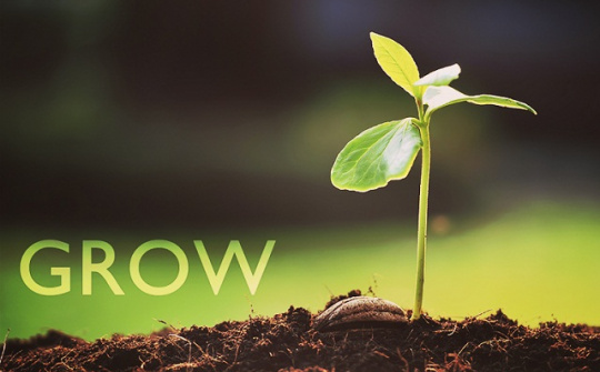 Vấn đề phát triển nhân cách con người trong bối cảnh hội nhập quốc tế và phát triển kinh tế bền vững