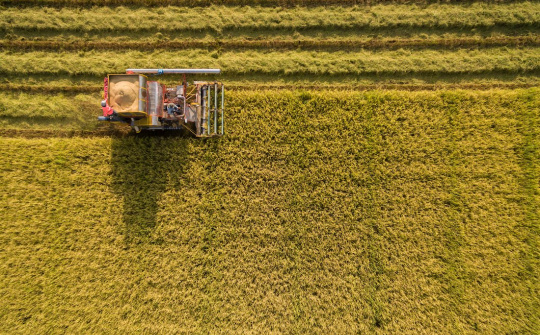 Thái Lan: Đặt mục tiêu xuất khẩu 6 triệu tấn gạo năm 2021