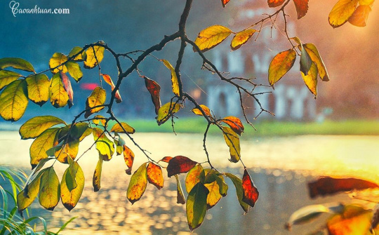 Thời tiết 31-3: Bắc bộ nắng nóng, nhiệt độ có nơi trên 37 độ C