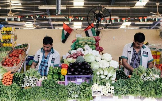 Cảnh báo doanh nghiệp Việt thận trọng, tránh bẫy lừa đảo tại UAE