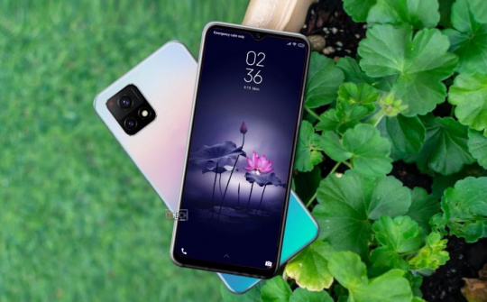 Vivo Y31s Standard Edition ra mắt - Pin 5.000 mAh, giá khoảng 6 triệu đồng