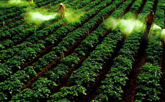 Phân bón Văn Điển - Hướng đến lợi ích chung giữa doanh nghiệp và nhà nông