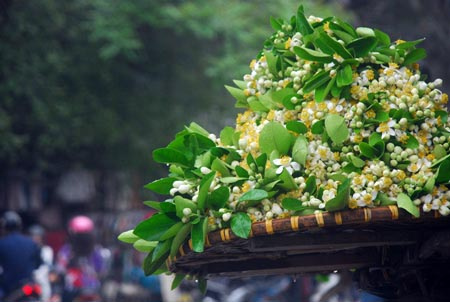 Thời tiết 9-3: Bắc bộ sáng sớm có mưa nhỏ, mưa phùn, trưa chiều hửng nắng