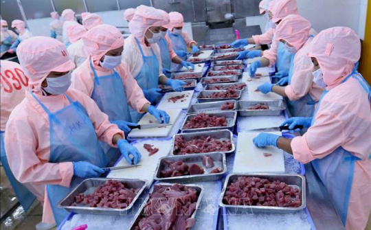 Kim ngạch xuất khẩu Phú Yên tăng 7,4%