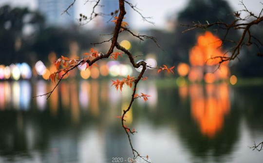 Thời tiết 10-3: Bắc bộ tiếp tục tiết trời nồm ẩm, sáng sớm có sương mù nhẹ