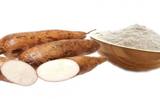 Công nghệ xử lý phế thải từ sản xuất tinh bột sắn