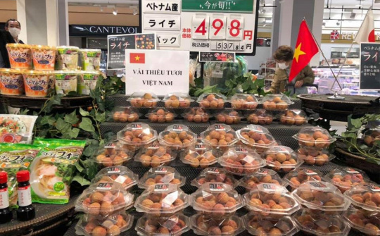 Hỗ trợ doanh nghiệp tiếp cận khách hàng toàn cầu