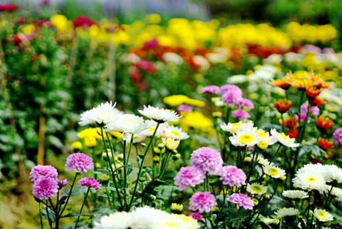 Thời tiết 12-4: Hà Nội nắng đẹp ngày đầu tuần, nền nhiệt tăng nhanh