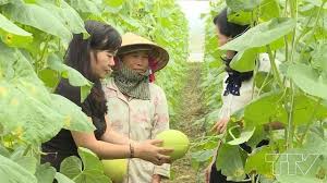 Thực trạng vai trò của phụ nữ trong phát triển HTX ở các tỉnh miền núi phía Bắc