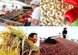 Giải pháp thúc đẩy xuất khẩu sản phẩm chủ lực của Tây Nguyên