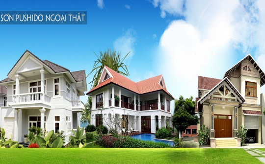 Sơn Pushido - Người bạn đồng hành tin cậy với mọi công trình xây dựng